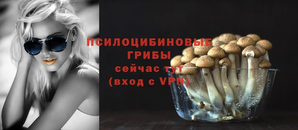 мяу мяу мука Бугульма