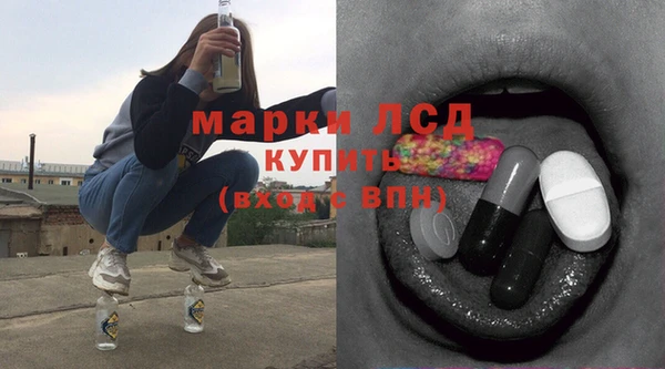 стафф Бородино