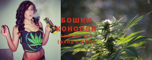 эйфоретик Бронницы