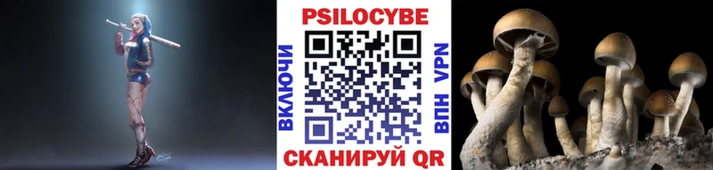 Галлюциногенные грибы Cubensis  Демидов 